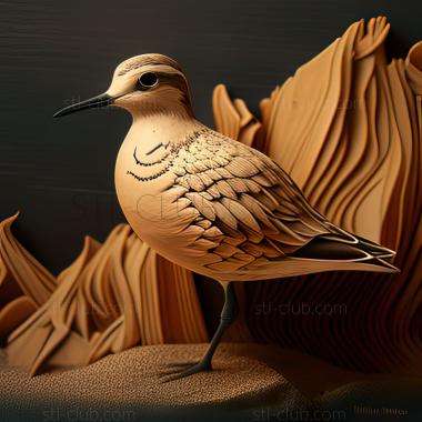 3D model st dotterel (STL)